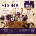 One Scoop